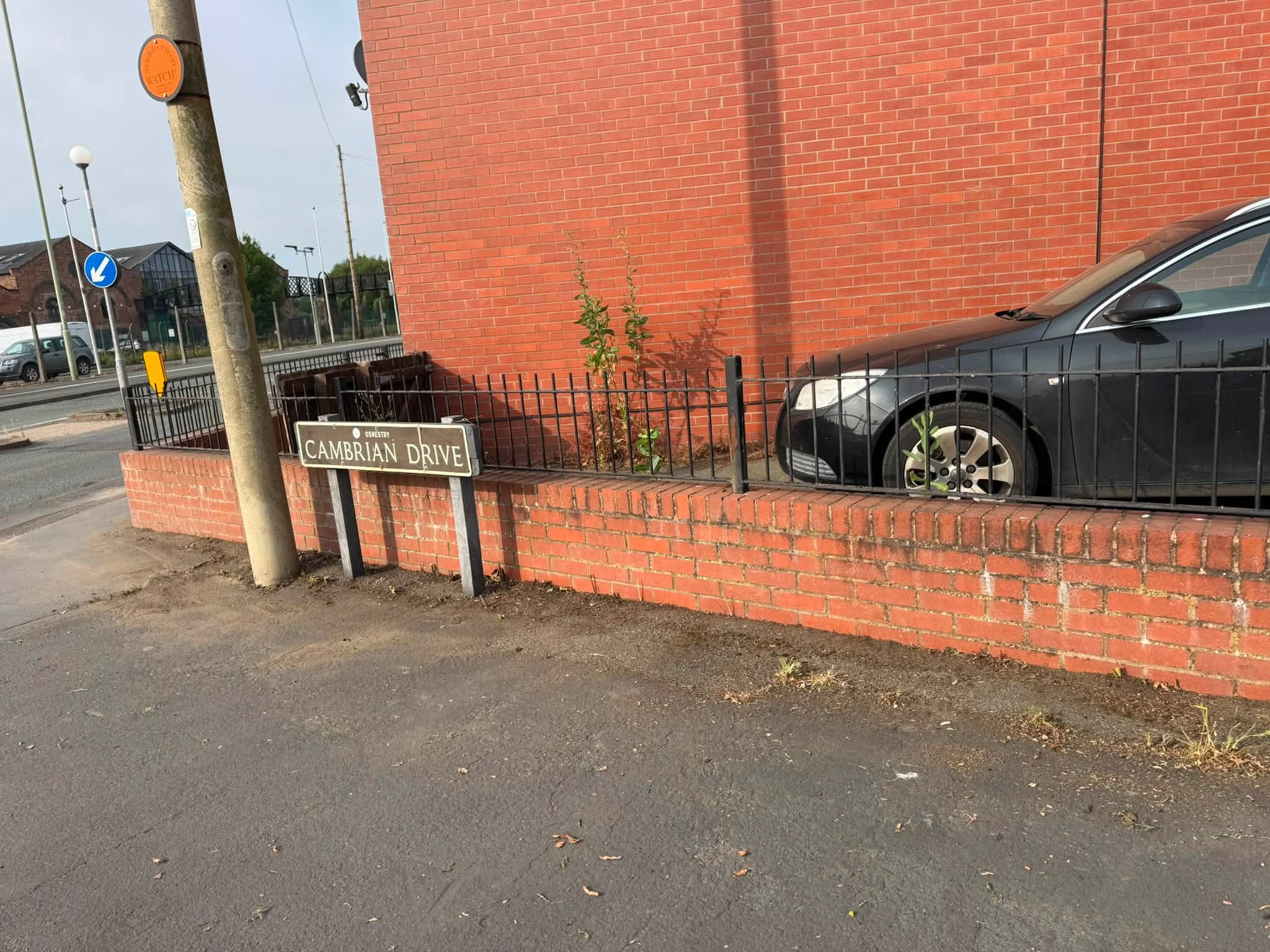 Resident Takes Action to Clean Up Neglected Areas Around Town